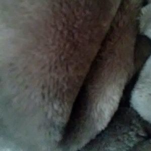 Meet your Posher, Yvette